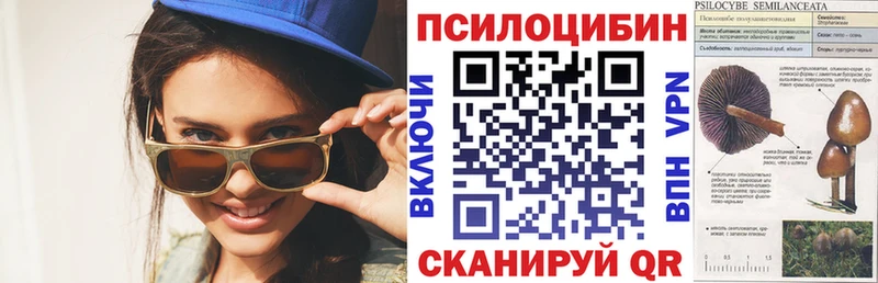 Псилоцибиновые грибы Cubensis купить закладку Инза